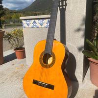 🎸 Chitarra acustica Toledo G329G per principianti