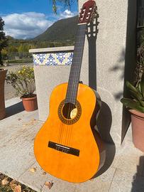 🎸 Chitarra acustica Toledo G329G per principianti