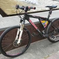 bici carbonio 