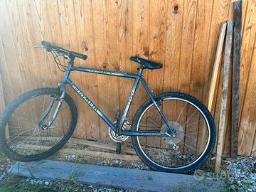 Bicicletta Olympia Trial