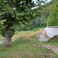 Terreno Agricolo Sestola [A4345967]