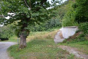 Terreno Agricolo Sestola [A4345967]