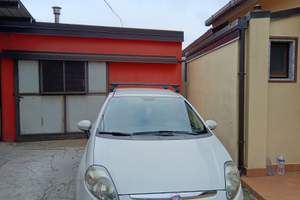 Punto Evo Natural Power