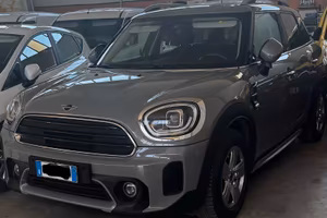 Mini countryman