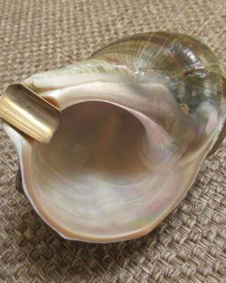 Posacenere conchiglia  e argento anni 70