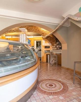 ATTIVITÀ A TERMOLI