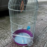 Gabbia per pappagalli