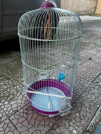 Gabbia per pappagalli