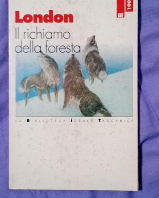 il richiamo della foresta 
