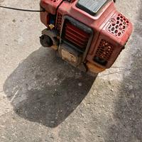 Potatore a scoppio su asta