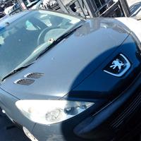 Peugeot 206 + plus B3-620