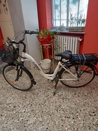 bicicletta pedalata assistita 