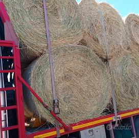 Fieno Paglia