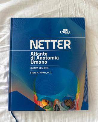 Netter anatomia umana