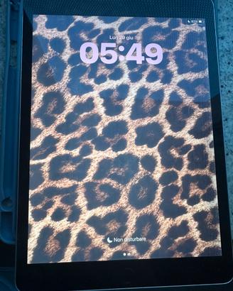Ipad 9 generazione