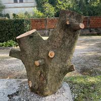 Legna di cipresso centenario