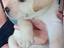 Immagine 3