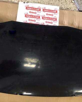 Pannello ext. cofano AIXAM