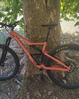 MTB Orbea Occam 29 taglia L