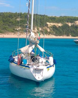 Barca a vela 37 piedi