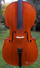 Violoncello 4/4 del liutaio Bruno Tondo