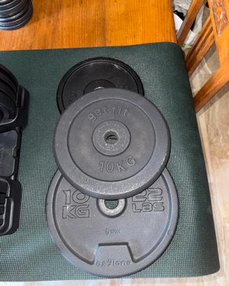 Dischi ghisa per palestra a casa