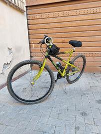 MTB BIANCHI THOMISUS RAGNO 