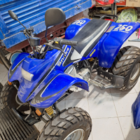 Vendita quad