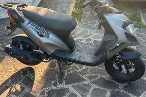 scooter 50 Pandora