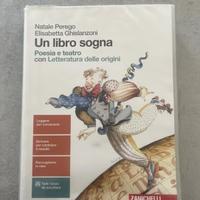Libri scolastici 