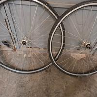 ruote campagnolo