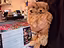 Immagine 27