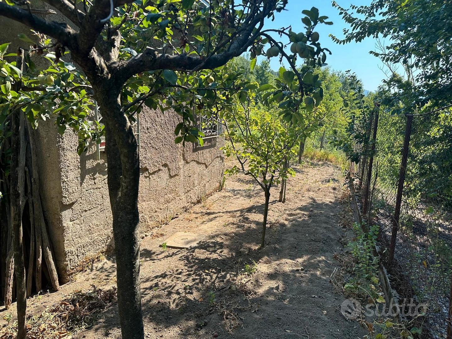 Terreno con deposito agricolo - Siano - Altro