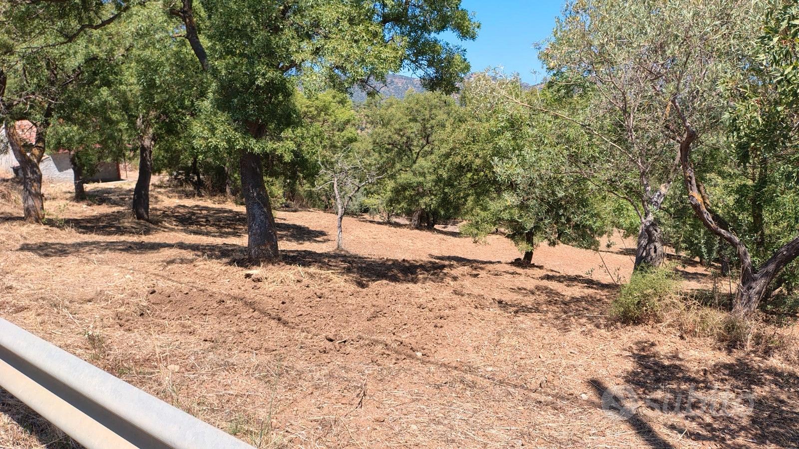 Terreno agricolo - Vista 2