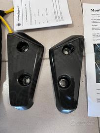 Protezione forcella Speed Triple 1050 carbon 16/17