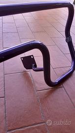 Rollbar paraurti posteriore