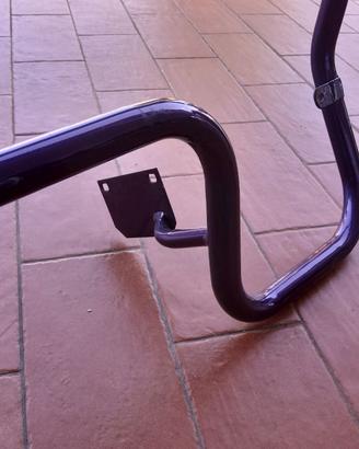 Rollbar paraurti posteriore