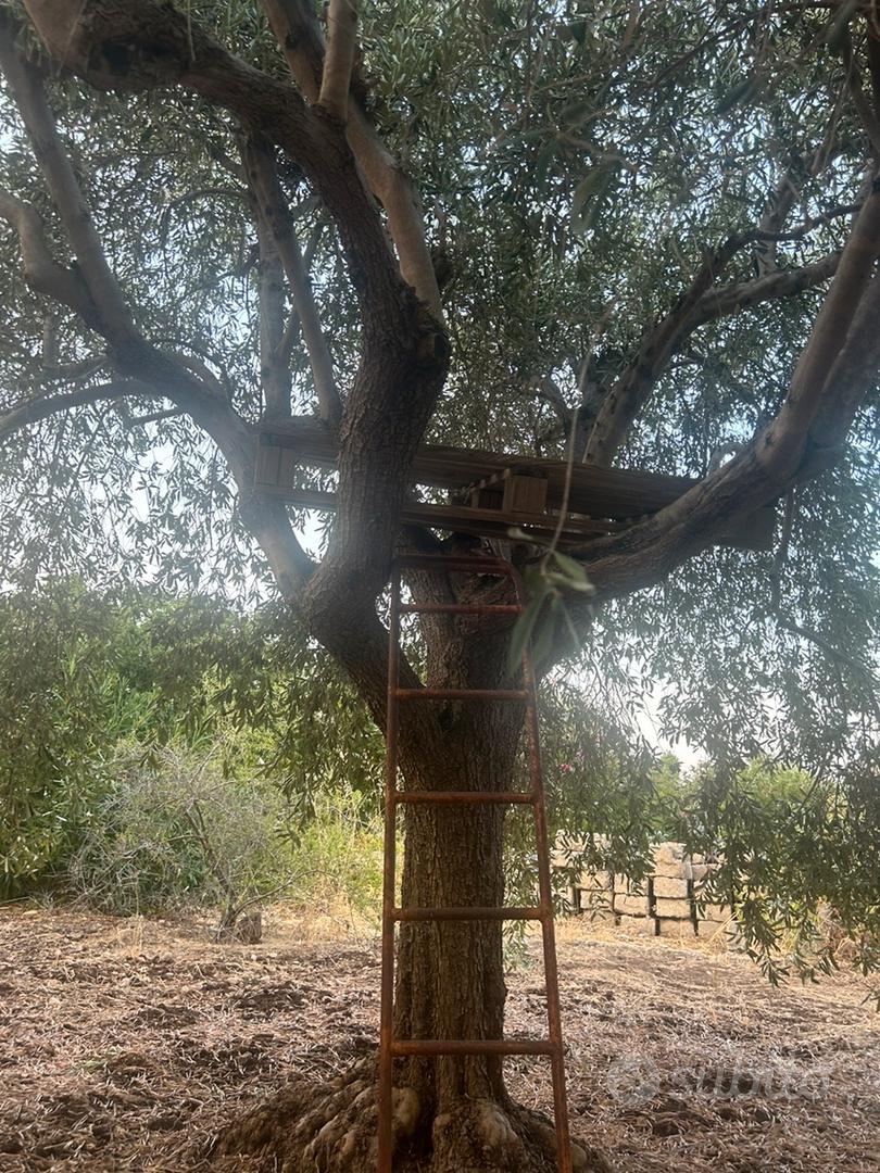 terreno per uso agricolo - Vista 4