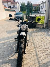 Mutt 250