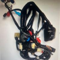 Impianto elettrico CBR 600 F4 '99