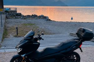 t max 2019 sx 530