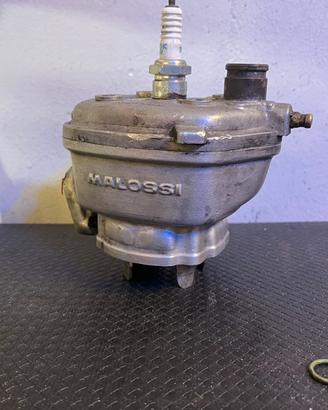 Gt Malossi replica minarelli orizz