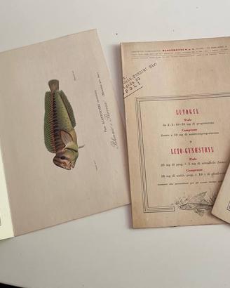 Lotto 42 cartoline farmaceutiche vintage