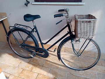 Bici per adulti 