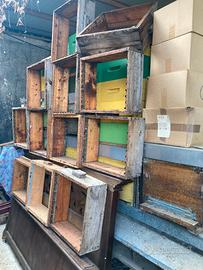 Materiale per apicoltura