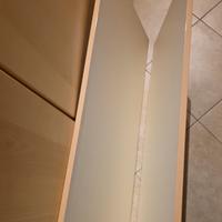 Coppia di Ante ARMADIO IKEA PAX