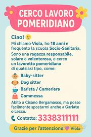 Barista babysitter commessa