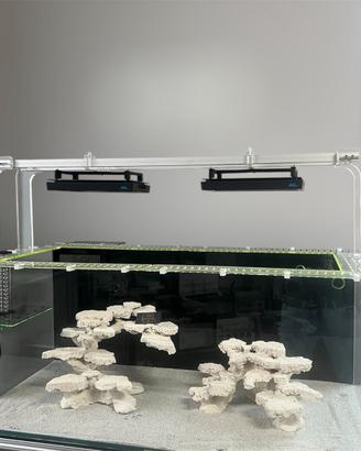 Ponte reefteck fino a 120cm