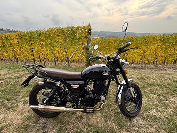 Mash Two Fifty 2019 Café Racer