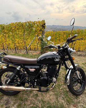 Mash Two Fifty 2019 Café Racer